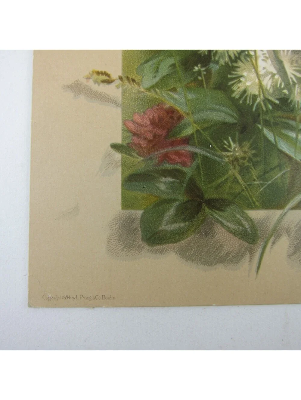 Victorian Easter Greeting Card Flowers Wheat Butterfly Grasshopper Antique 1884